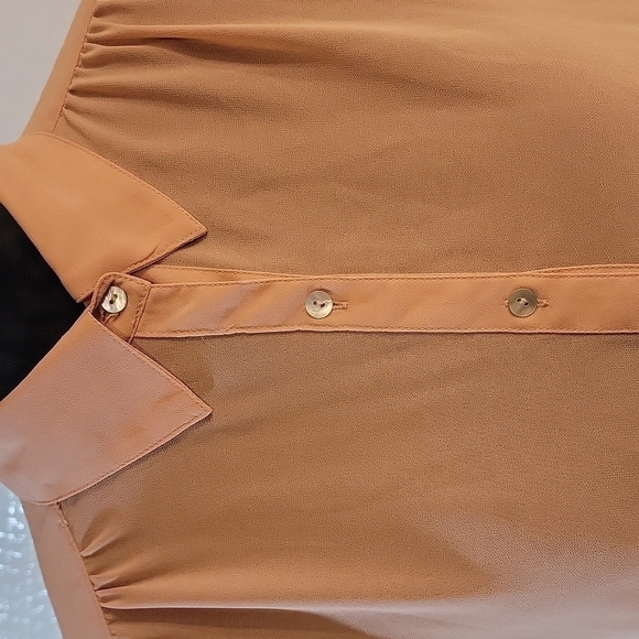 Forever 21 Blush Colored Button-up Sheer Blouse Size Small - Picture 2 of 11